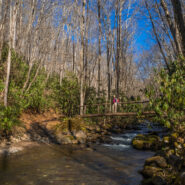 Noland Creek Trail, Great Smoky Mountains National Park