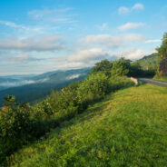 Foggy Morning on the Blue Ridge Parkway – A Photo Essay