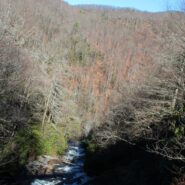 Raven Cliff Falls Trail, Dismal Trail, Naturaland Trust Trail, Gum Gap Trail, Caesars Head State Park, South Carolina