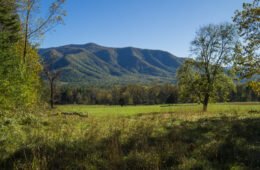 Rich Mountain Loop at Cades Cove, Great Smoky Mountains National Park