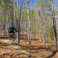 Ridgeline Trail to Hickory Mountain Loop, DuPont State Forest