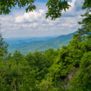 Snake Den Ridge Trail and Appalachian Trail to Inadu Knob, Great Smoky Mountains National Park