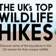 The UK’s Top Wildlife Hikes