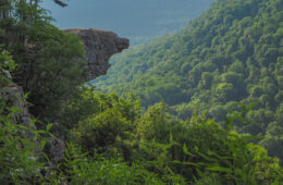 Whitaker Point Trail to Hawksbill Crag, Ozark National Forest
