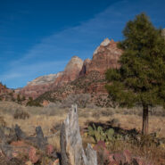 East Zion on a Winter’s Day – A Photo Essay