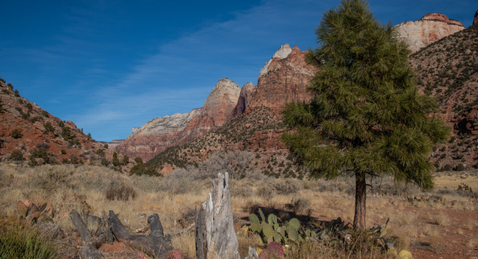 East Zion on a Winter’s Day – A Photo Essay